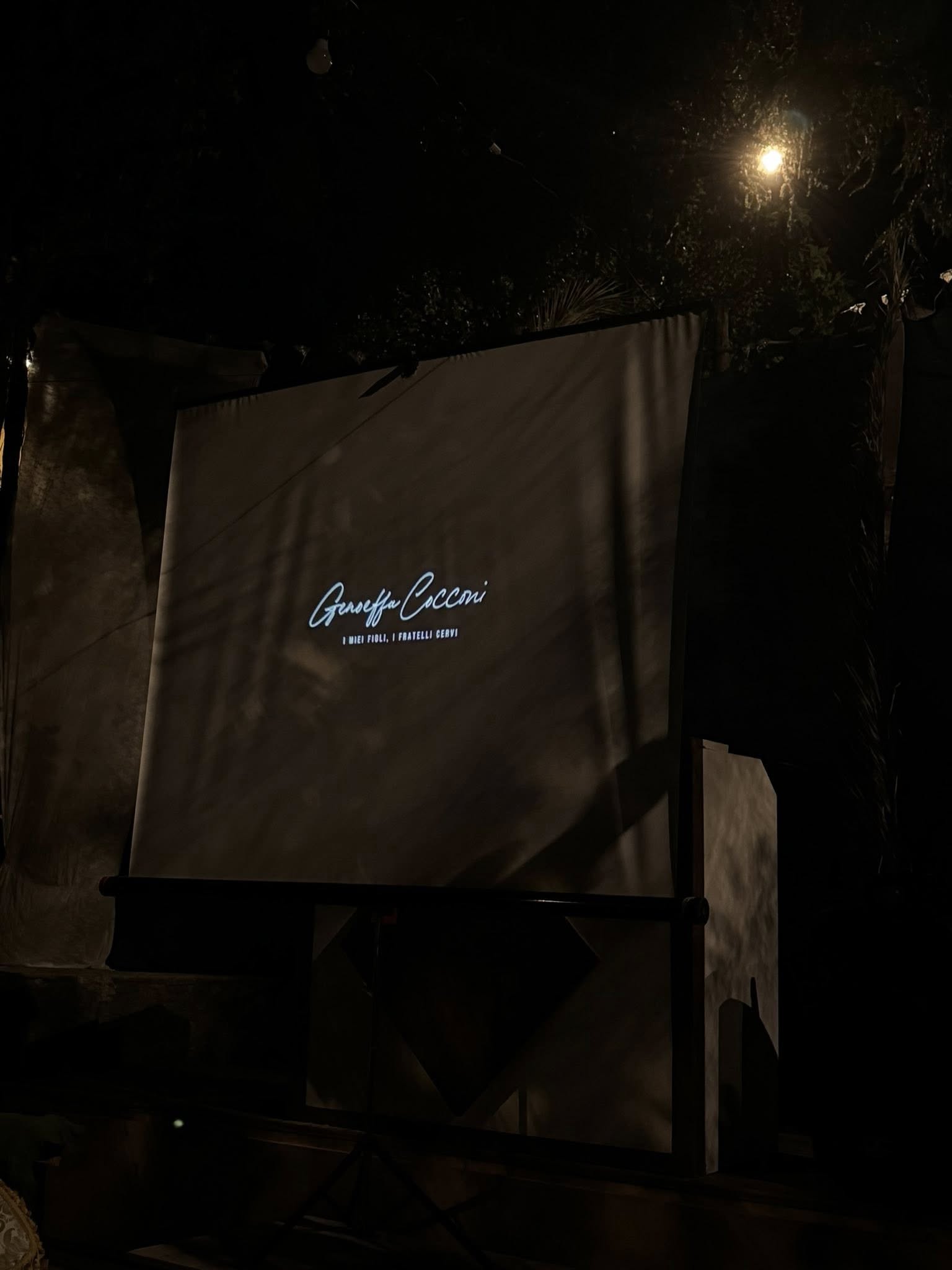 539094338_648815034933326_888145664487911257_n