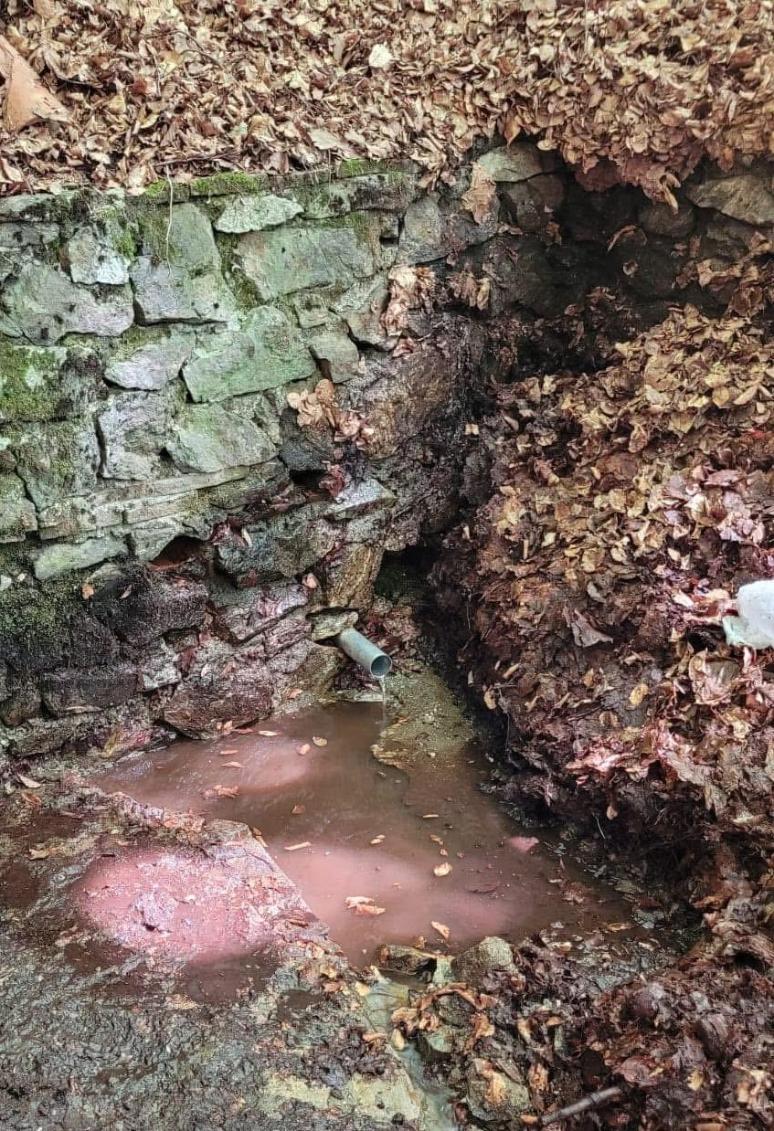 descrizione immagine