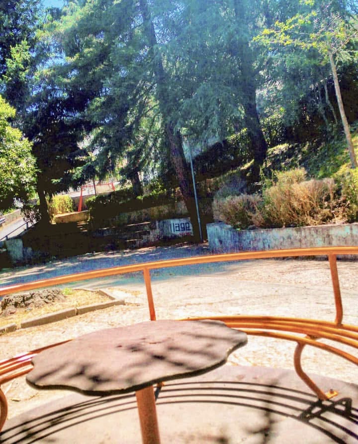 descrizione immagine