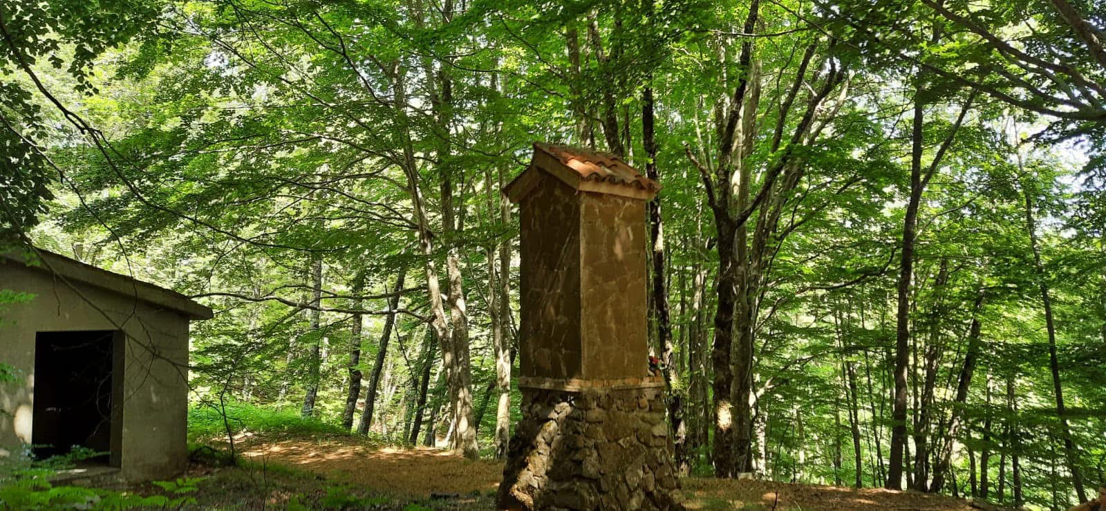 descrizione immagine