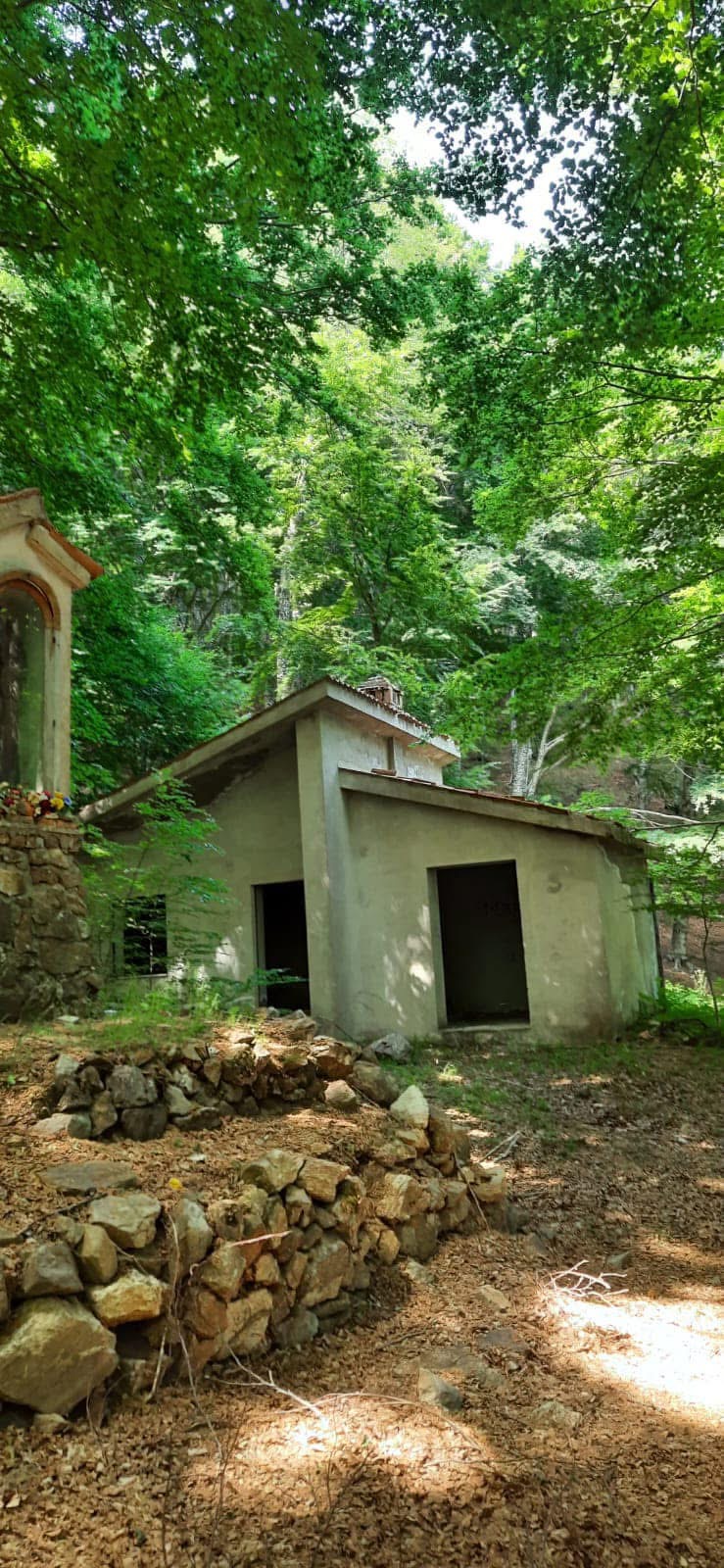 descrizione immagine