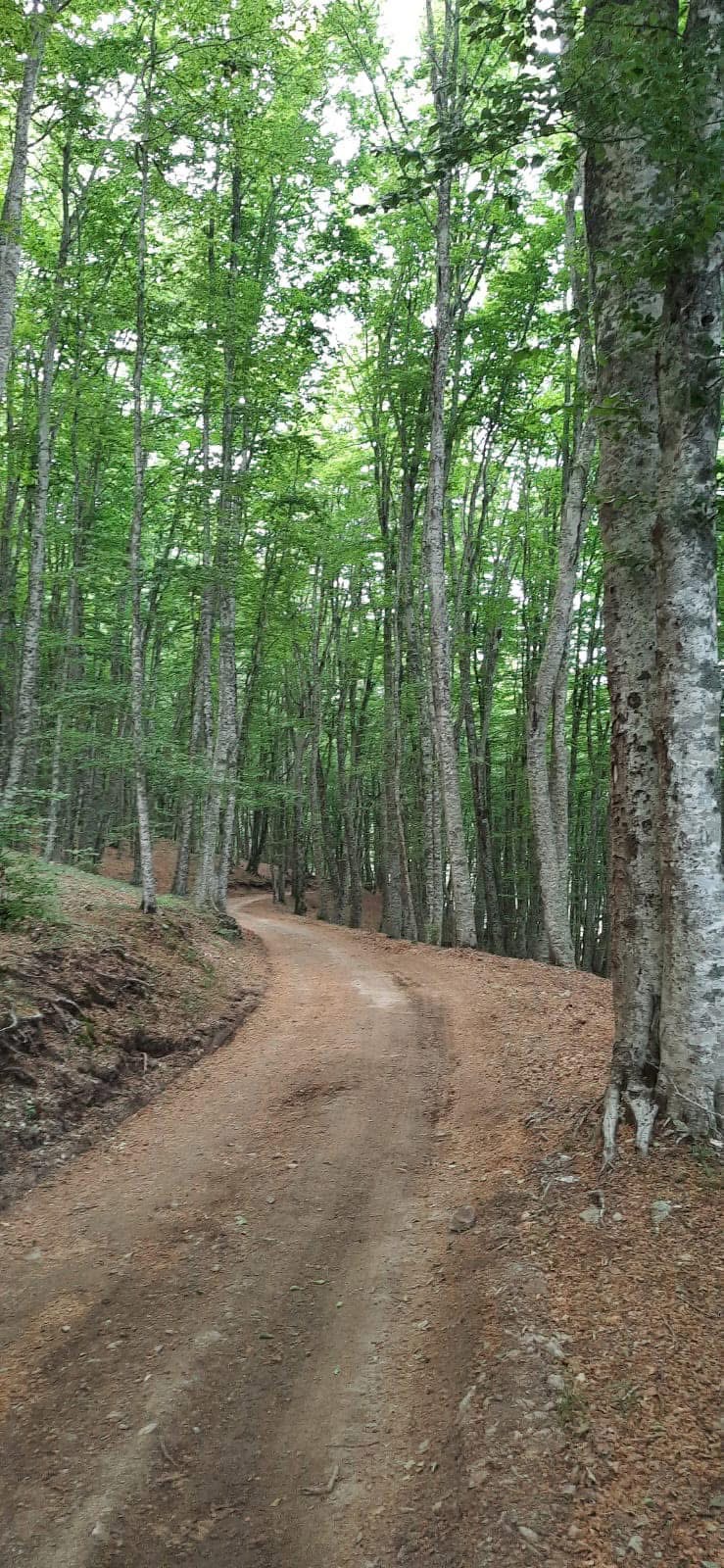 descrizione immagine