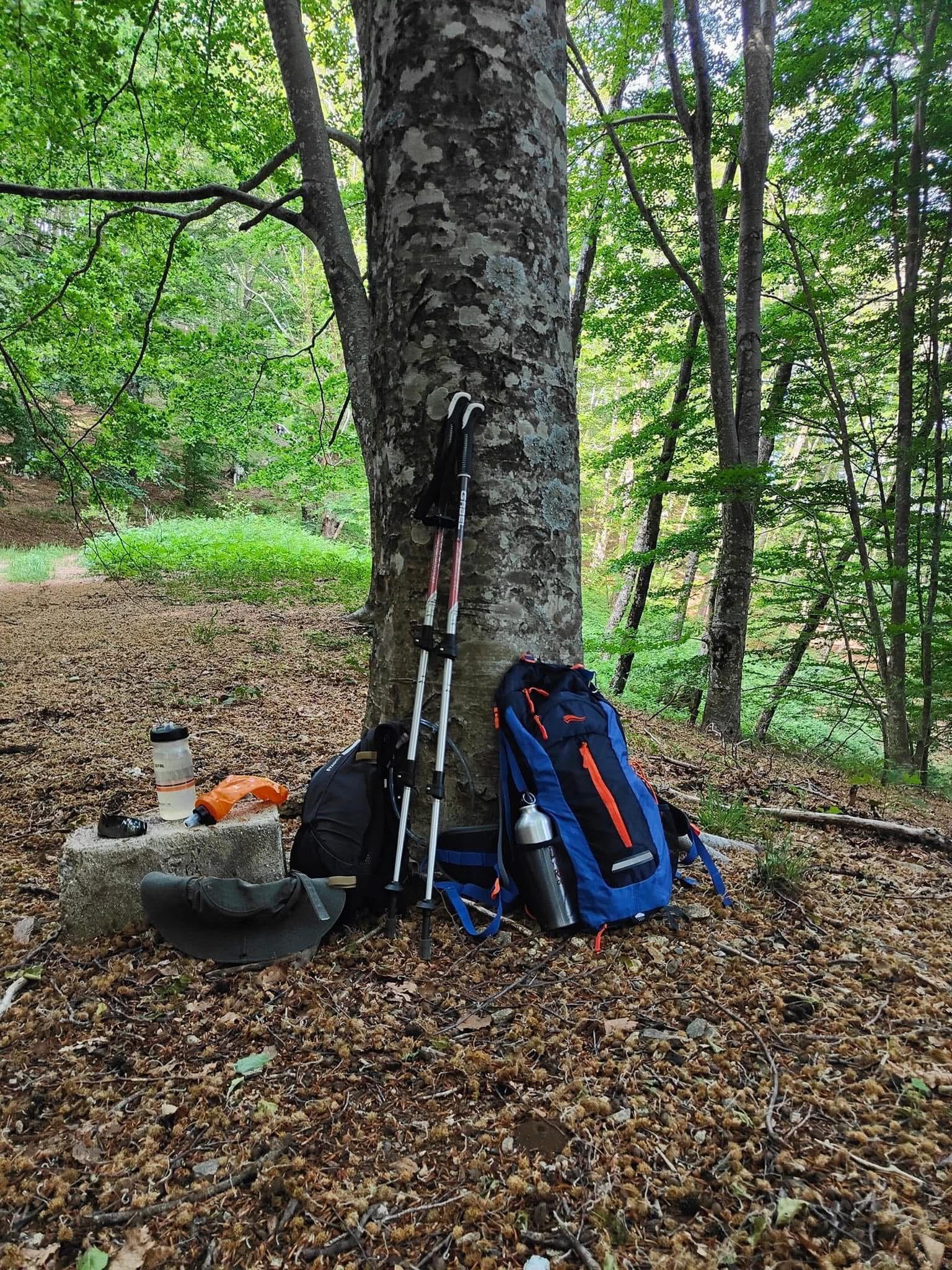 descrizione immagine