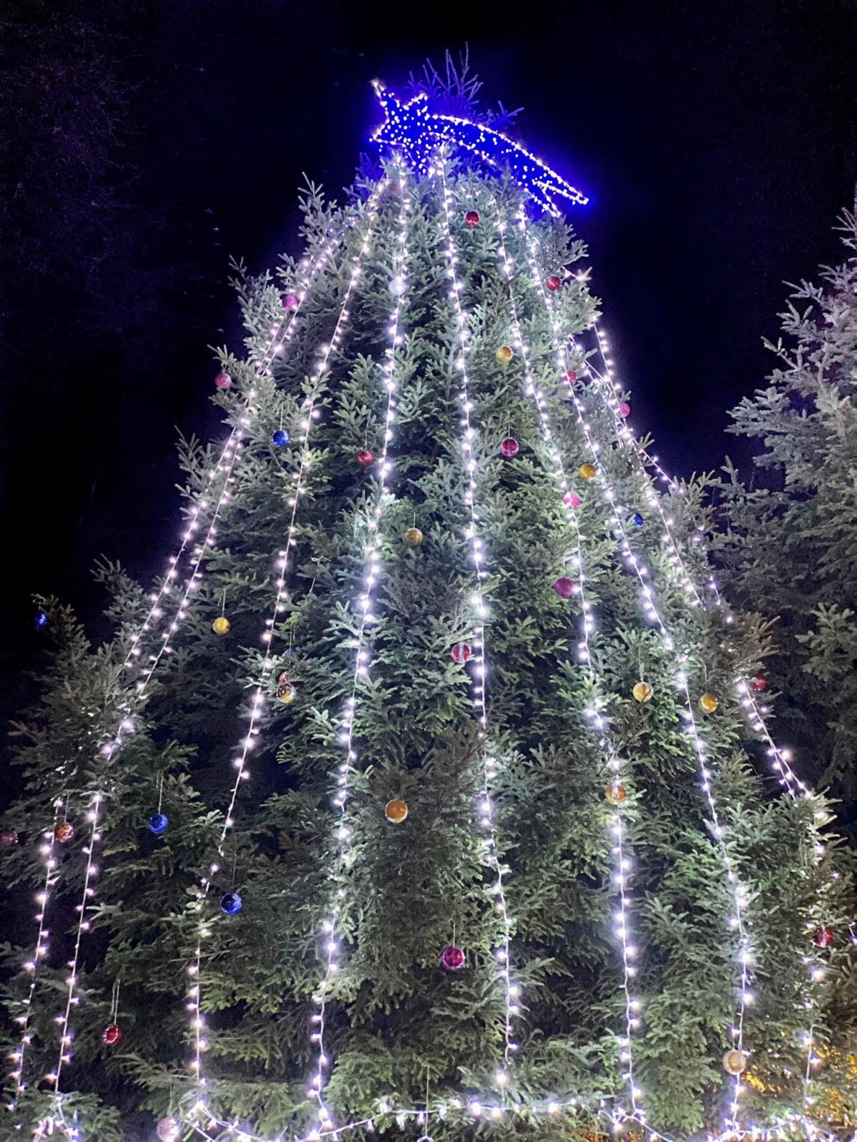 WhatsApp Image 2025-10-27 at 15.42.58 (4)