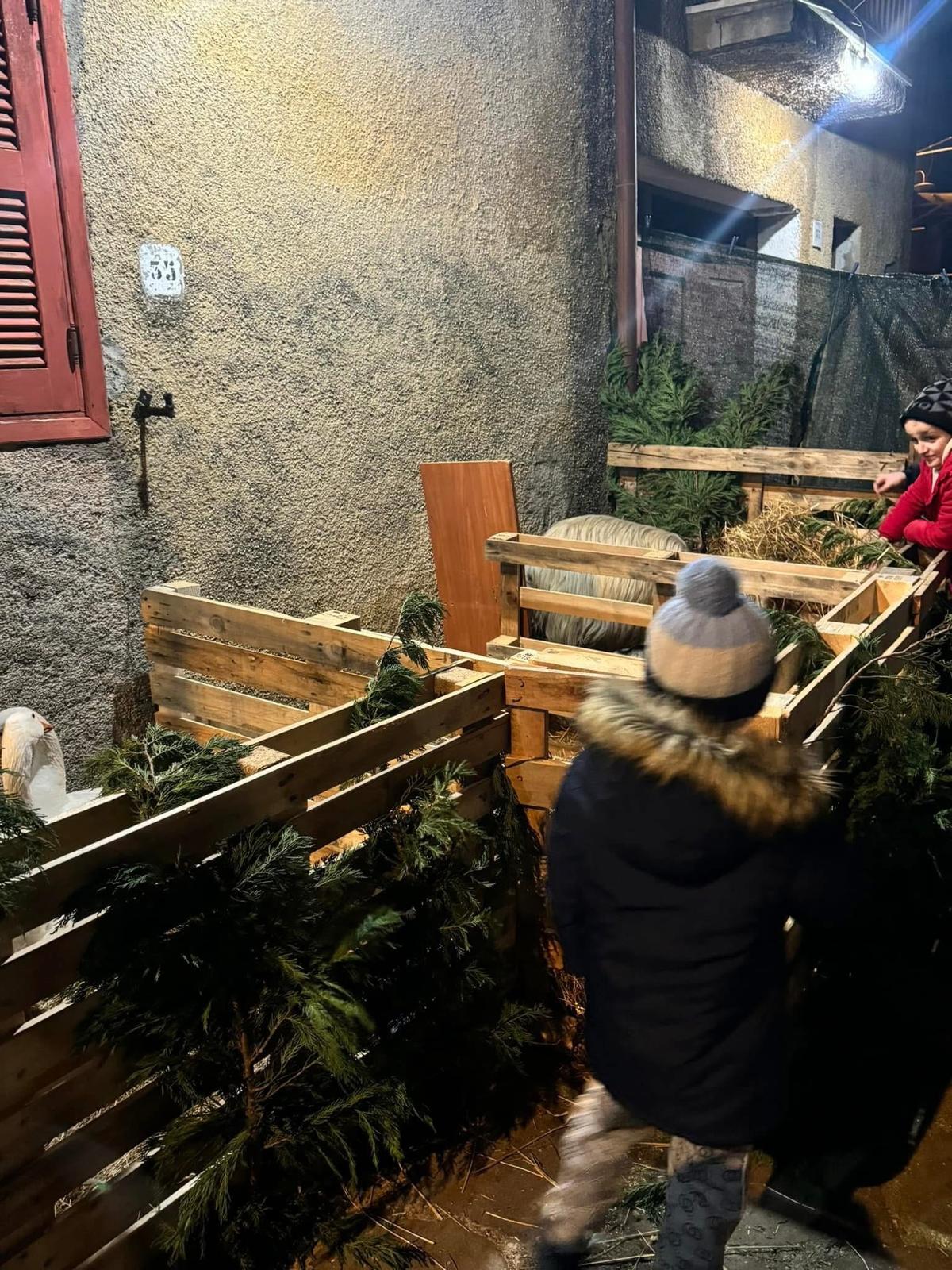 WhatsApp Image 2025-10-27 at 15.43.00 (5)